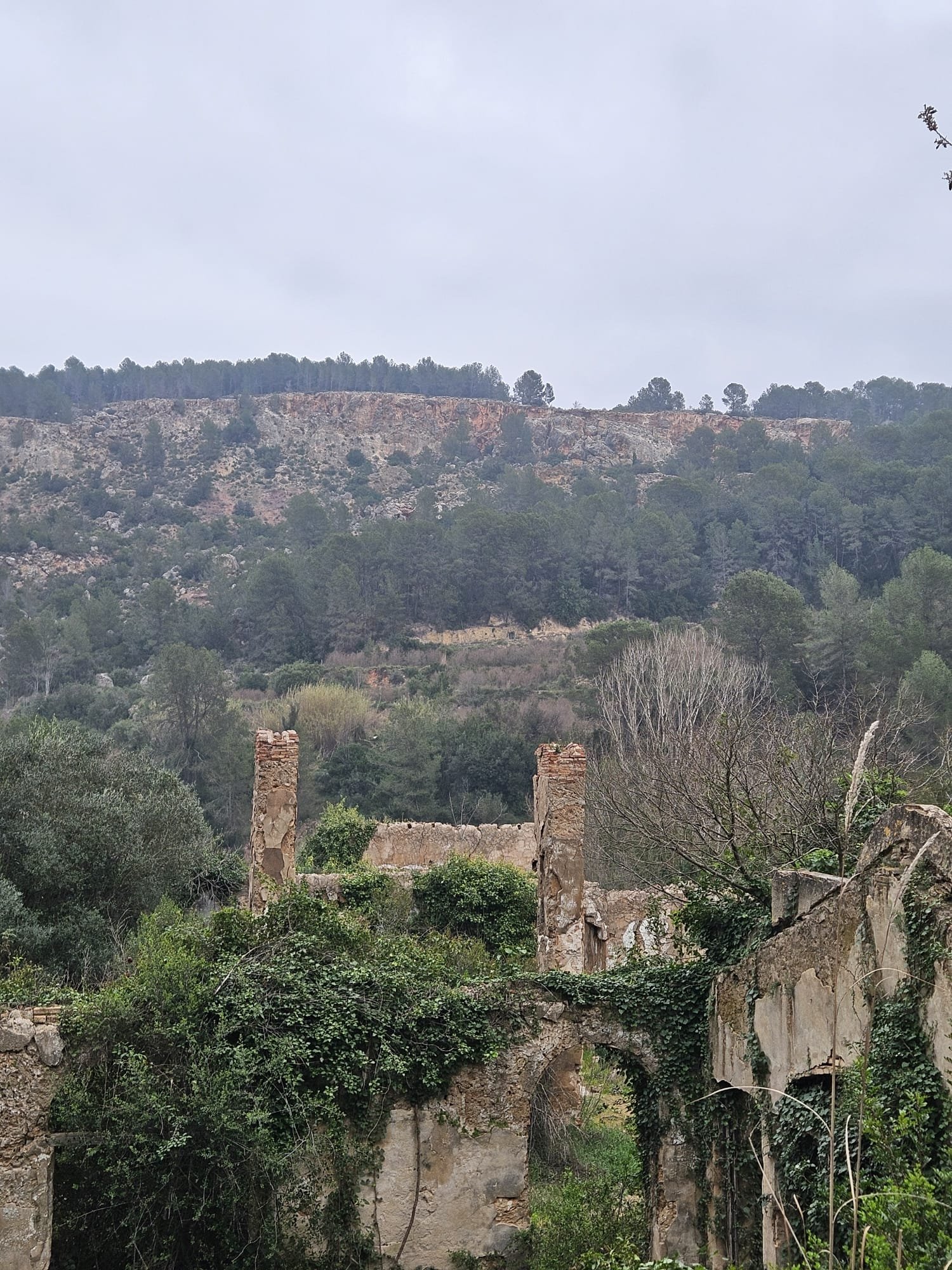 Foto de la ruta